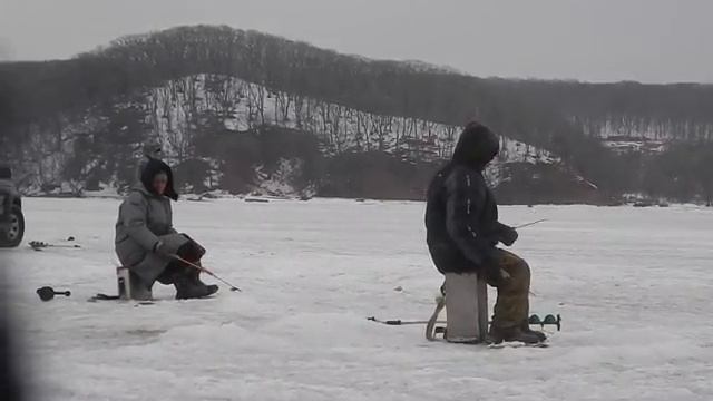 Мах для ловли наваги.Подлёдный лов наваги.остров Русский.остров Фальшивый.