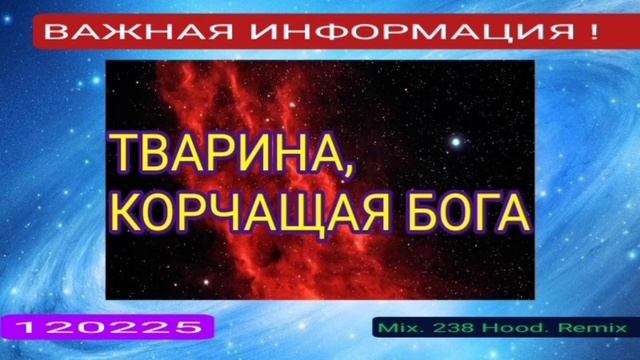 ТВАРИНА ,КОРЧАЩАЯ БОГА_2025-02-12