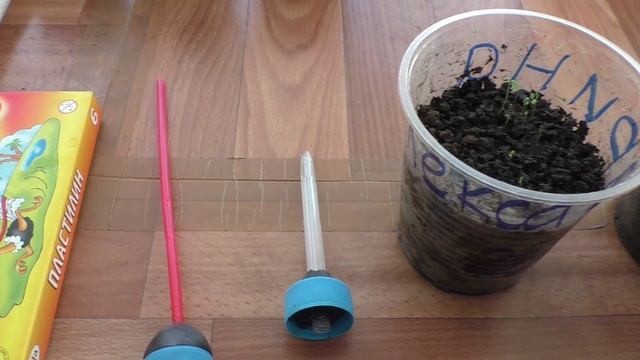 Минилейка для полива рассады