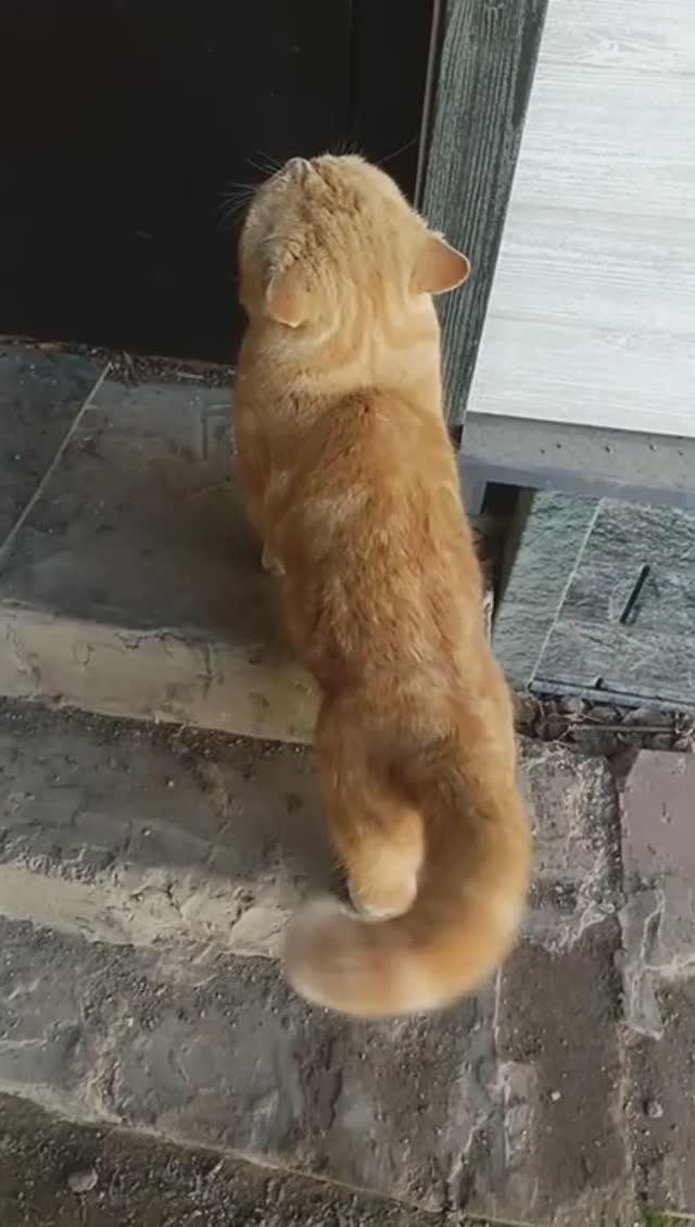Блудный сын вернулся 😁