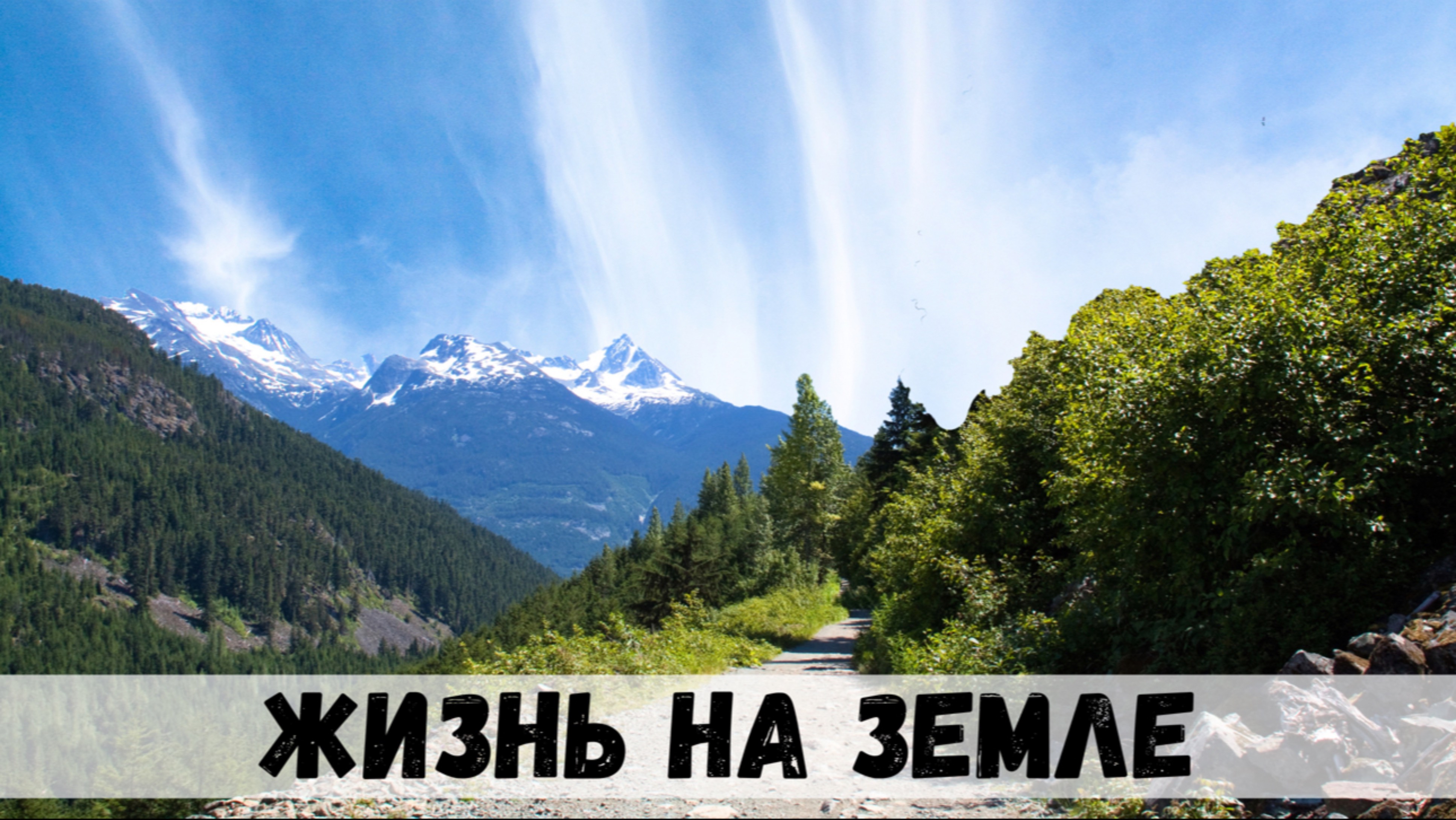 Жизнь на планете Земля: удивительное путешествие в мир живых существ!