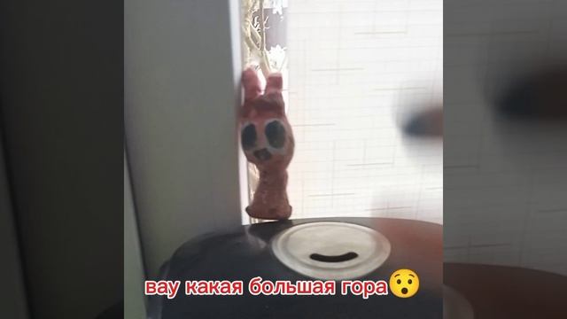 чтоооо У МЕНЯ ДОМА ЖИВУТ ПИНКИ И ВИНЕРИЯ!!