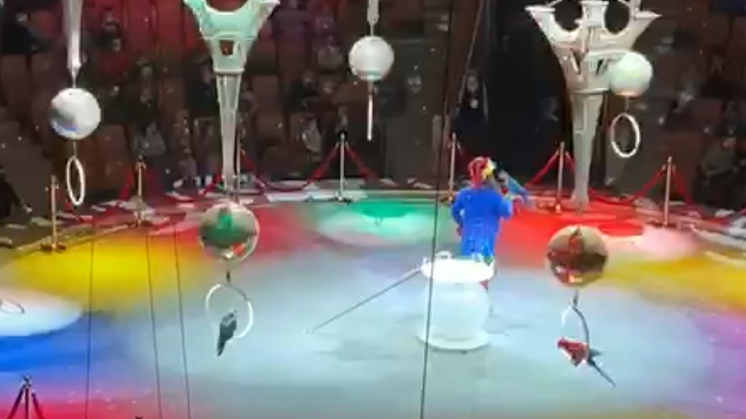 Представление понравилось 🎪