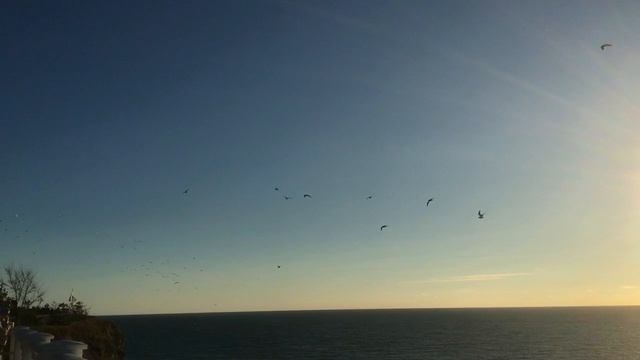 Звезда пленительного счастья. И.Шварц.