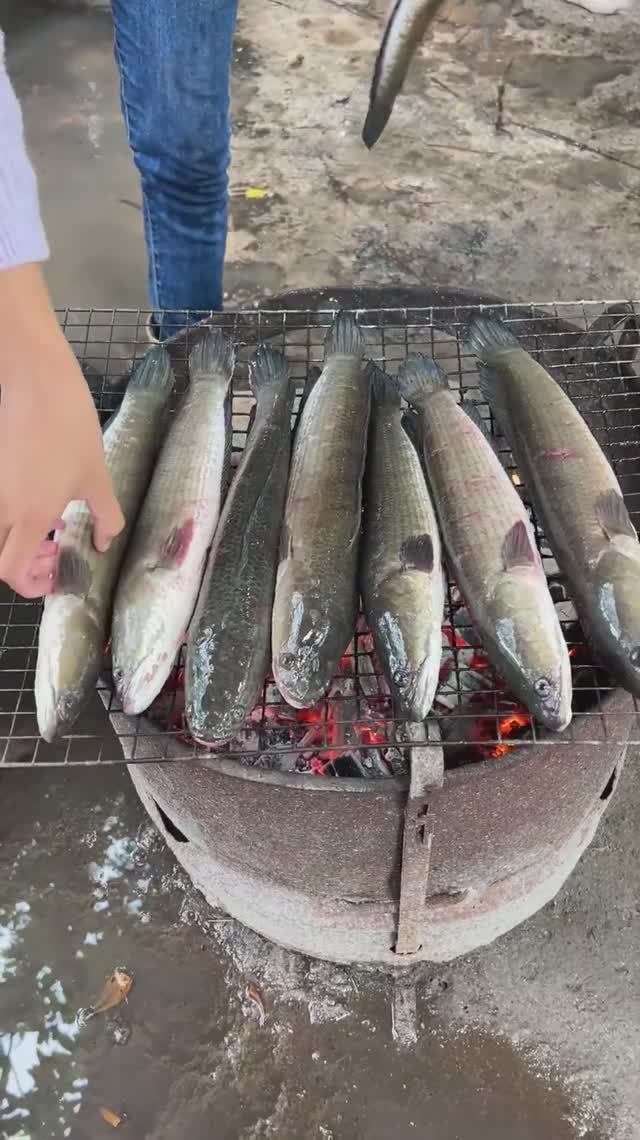 Деревенский шеф-повар готовит рыбу по вкусным рецептам