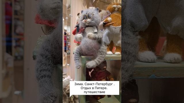 Зима. Санкт-Петербург . Отдых в Питере. путешествие