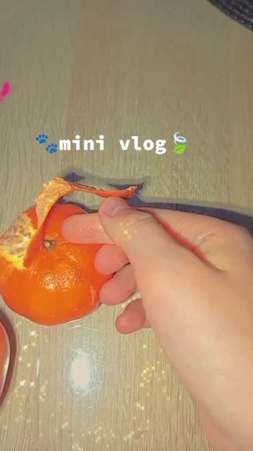 влог
