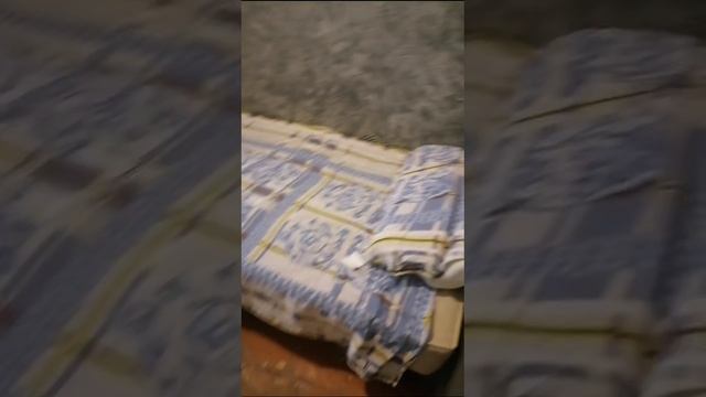 Загородный 40 Комната