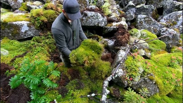 Лесные - построили каменный дом высоко в горах - большой фильм. Хроники каменного дома