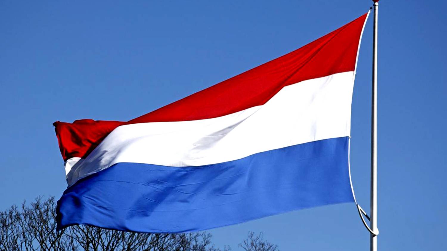 В Нидерландах заявили о сдвиге в сторону переговоров по Украине
