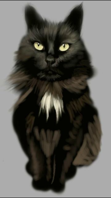 Кот by Anastasia Voloshina