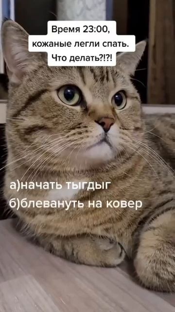 Полуночный выбор