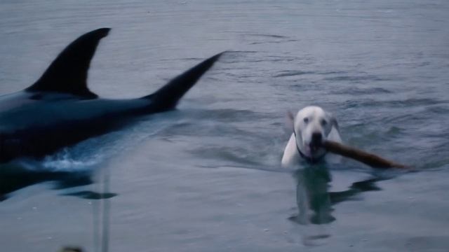 Обучение коротким видео https://t.me/Artemtime_bot?start=tdvideo_ref_648597748_Rutube