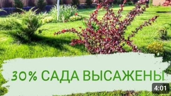 30% САДА ВЫСАЖЕНЫ🤗🌲🌹🌿6.05.2023г. БЕЛАРУСЬ,ГОМЕЛЬСКАЯ ОБЛАСТЬ