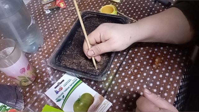 СЕЮ СЕМЕНА ТОМАТОВ НА ЧЕРЕНКОВАНИЕ