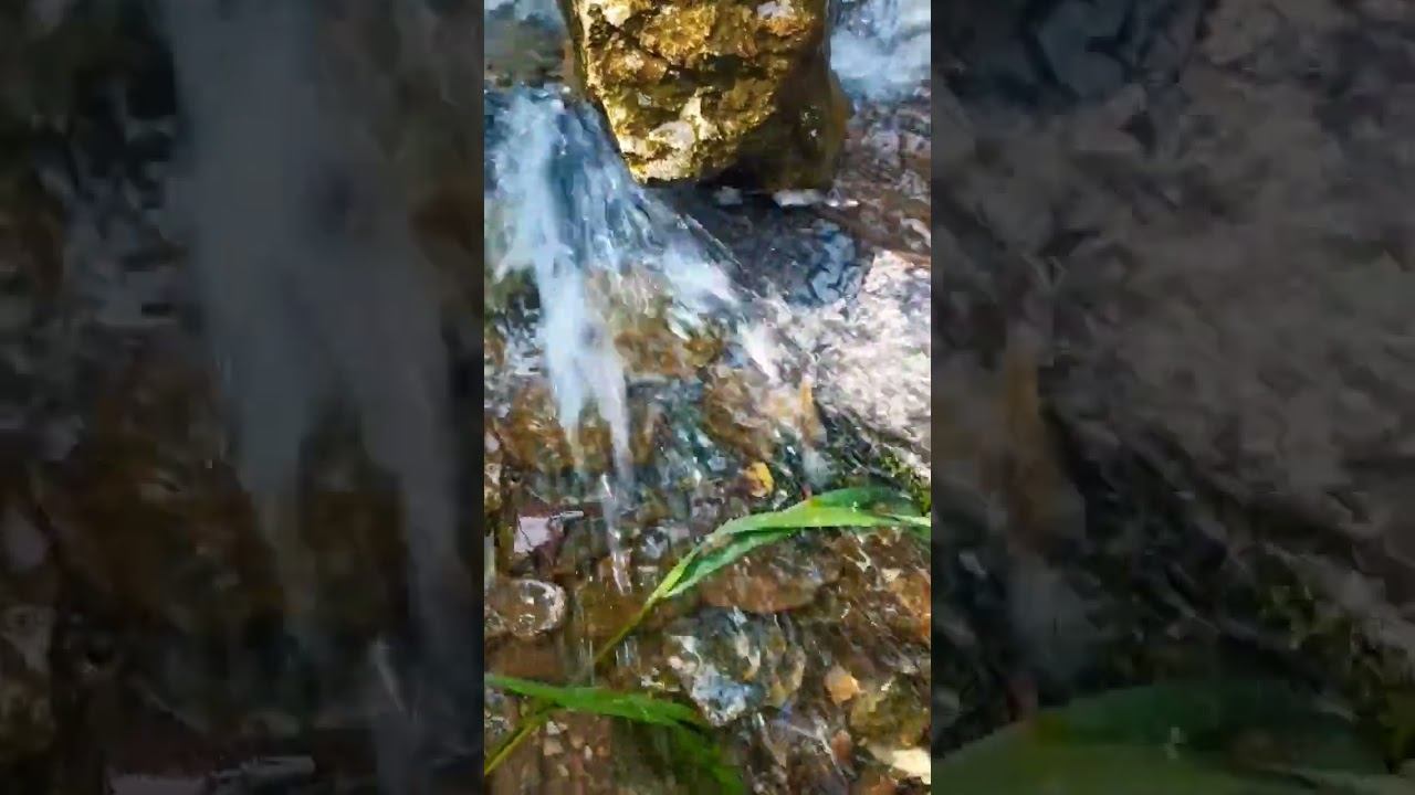 просто родник живёт жизнью без никого сам по себе #осознание #nature #природа #мир #жизнь