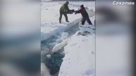На_Сахалине_300_человек_унесло на льдине в море. Рыбаки отказывались от эвакуации ради улова