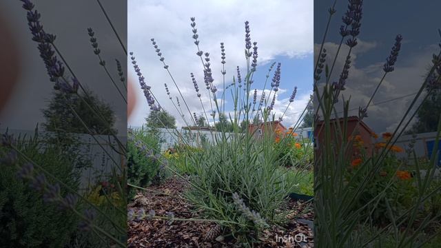 уДачные кадры.