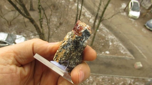 Гиацинт циркон купить