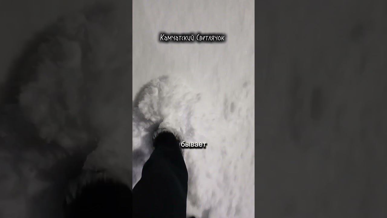 Камчатка ⛄️❤️ #камчатка #любовь #россия #зима #снег #снегопад #красота #камчатскийкрай #светлячок