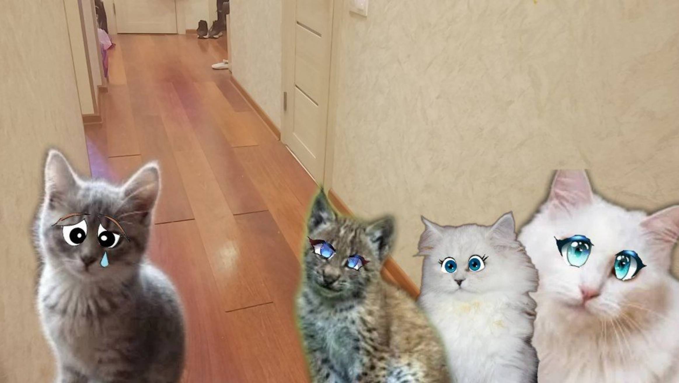 Кошки НАШЛИ Котëнка?! КОТËНКА ЗОВУТ Налли