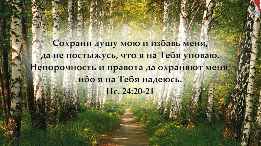 Псалом 24