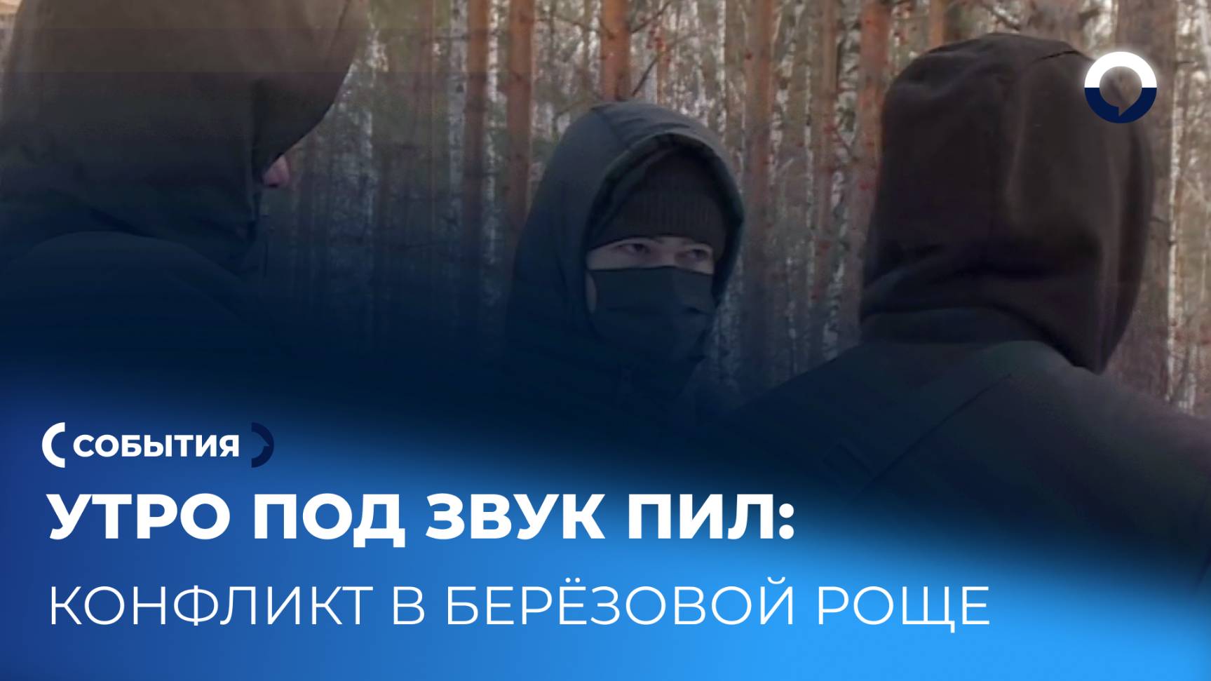 Застройка против природы: конфликт в Берёзовой роще не утихает