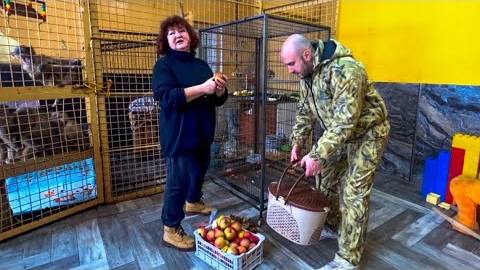 Утро, когда Лида ИЗБИЛА Маню началось спокойно, но Маня стала истерить требуя еду и Лида ПСИХАНУЛА!