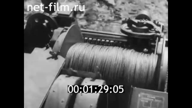 1968г. Москва. лесотехнический институт. лесхоз, Краснодарский край.