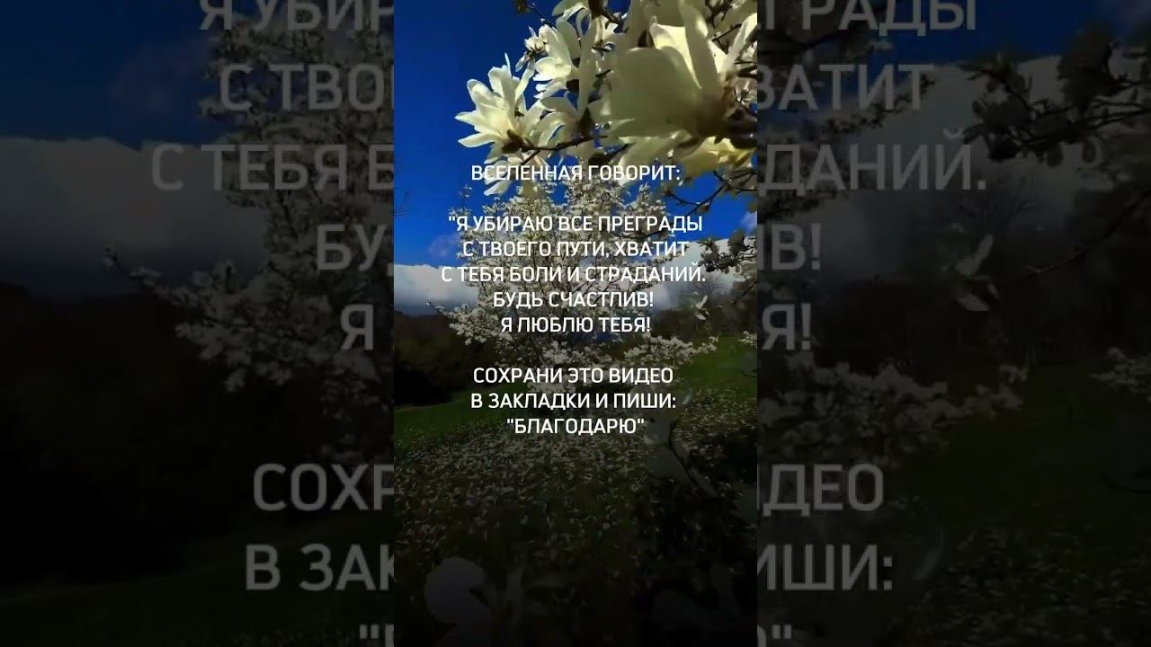 9 апреля 2024 г.