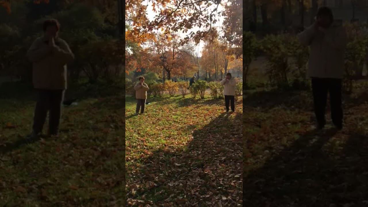 Медитации в каждой тренировке