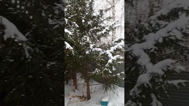 1000379513.mp4