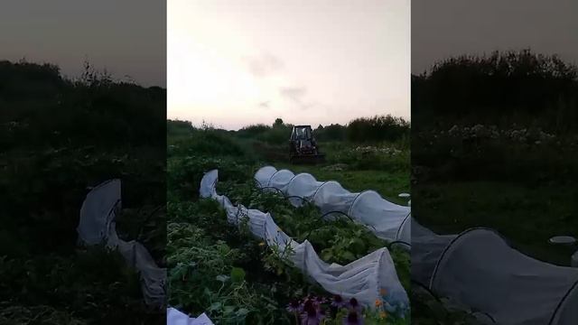 Жизнь в деревне.