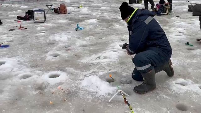 12.02.25 г. РК Волна