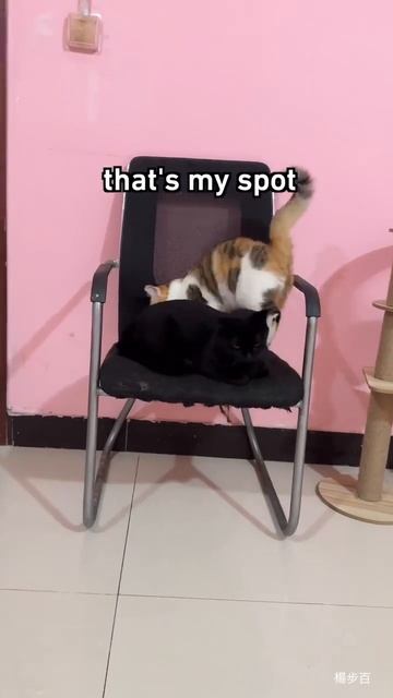 1000073457.mp4