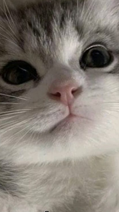 scene_output.mp4