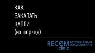 Как закапать капли (из шприца) домашнему животному