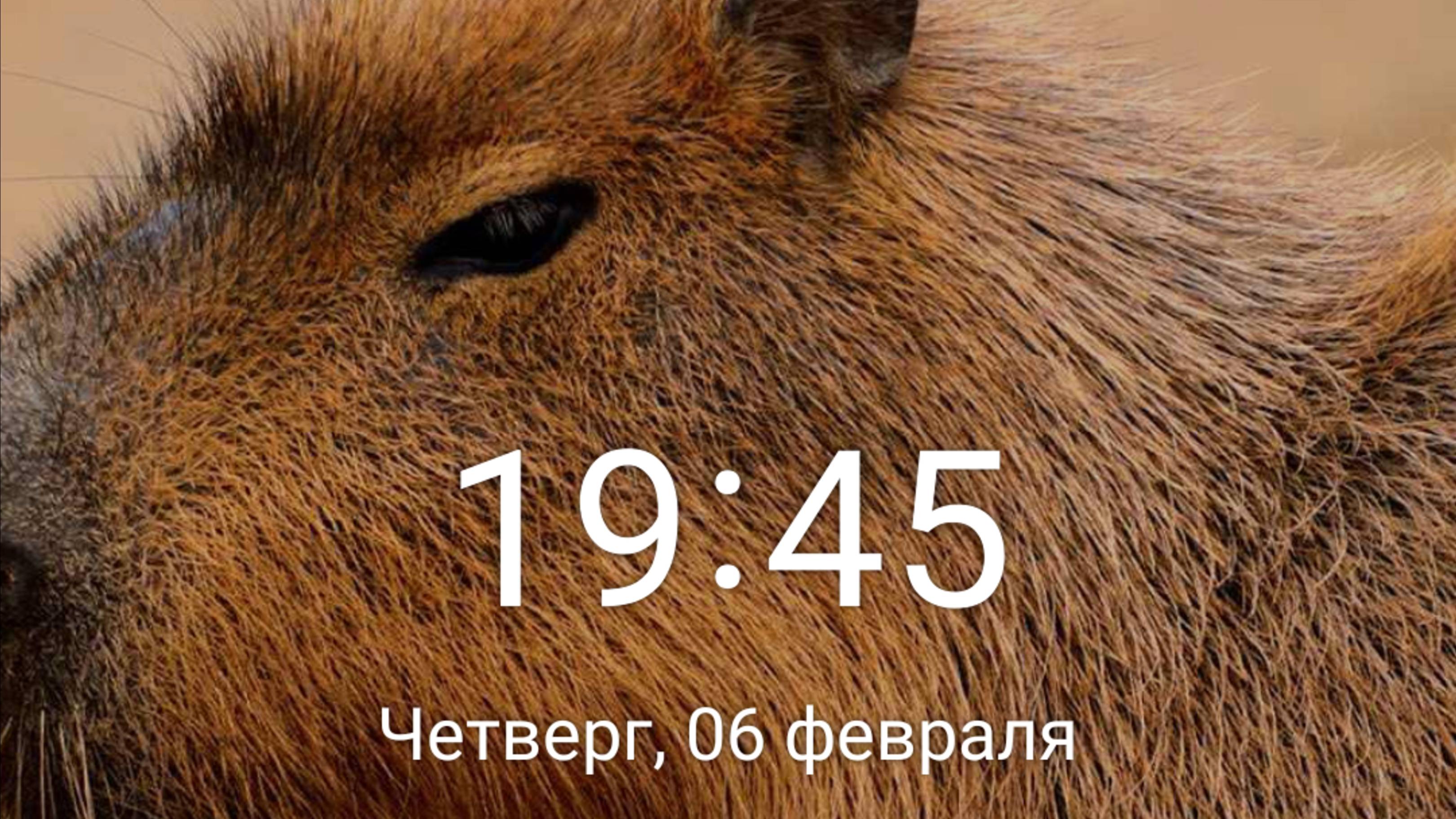 VID_20250212_181446