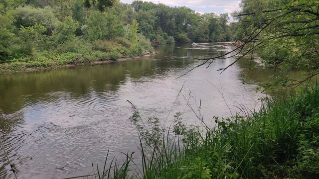 VID_20240611_140614