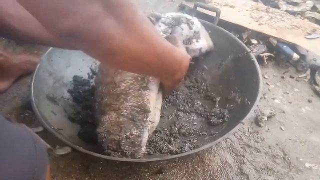 Giant sea cucumber/paano linisin?