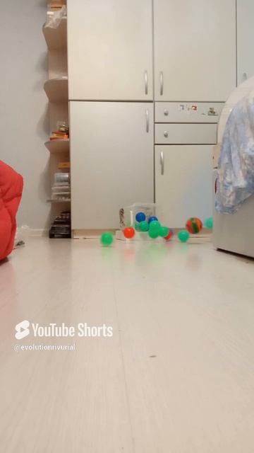 игра выбей шарики из коробки серия 1|evolutionrivurial