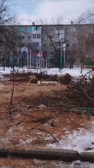 Во дворе на Коммунистическом, 48/4 спилили упавшее дерево, но не убрали ветки.