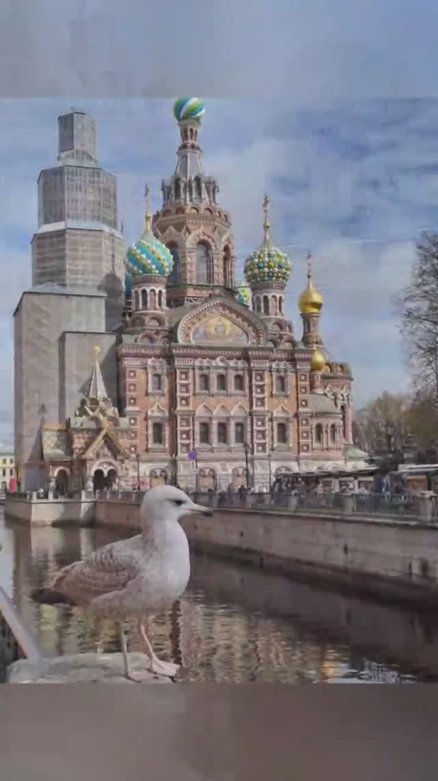 Исакиевский, Казанский и Спас на крови.