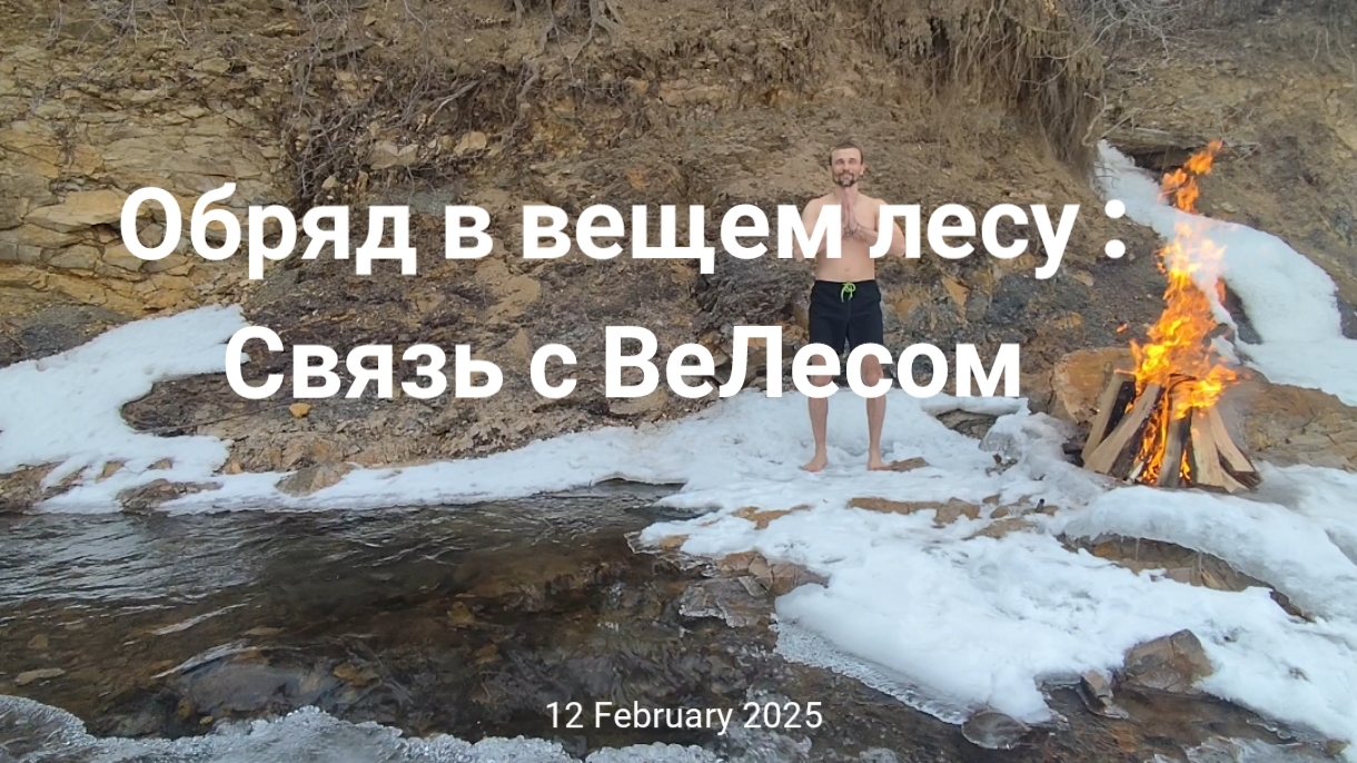 Обряд в вещем лесу: связь с ВеЛесом