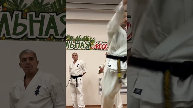 Кёкусин-Кик / Зимняя Школа ФКР-2025 / Варианты методики обучения / Сихан Станислав Винокуров (16)