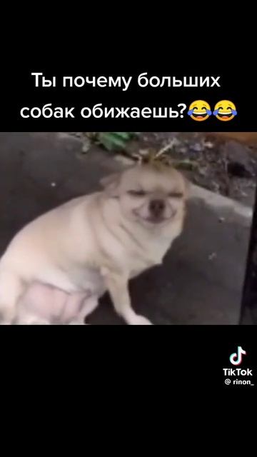 1000042360.mp4