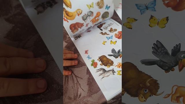 РАЗВИВАЮЩИЕ ЗАДАНИЯ