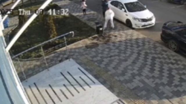 Бойцовский пес напал на пенсионерку и ее питомца в одном из ЖК в Краснодаре.