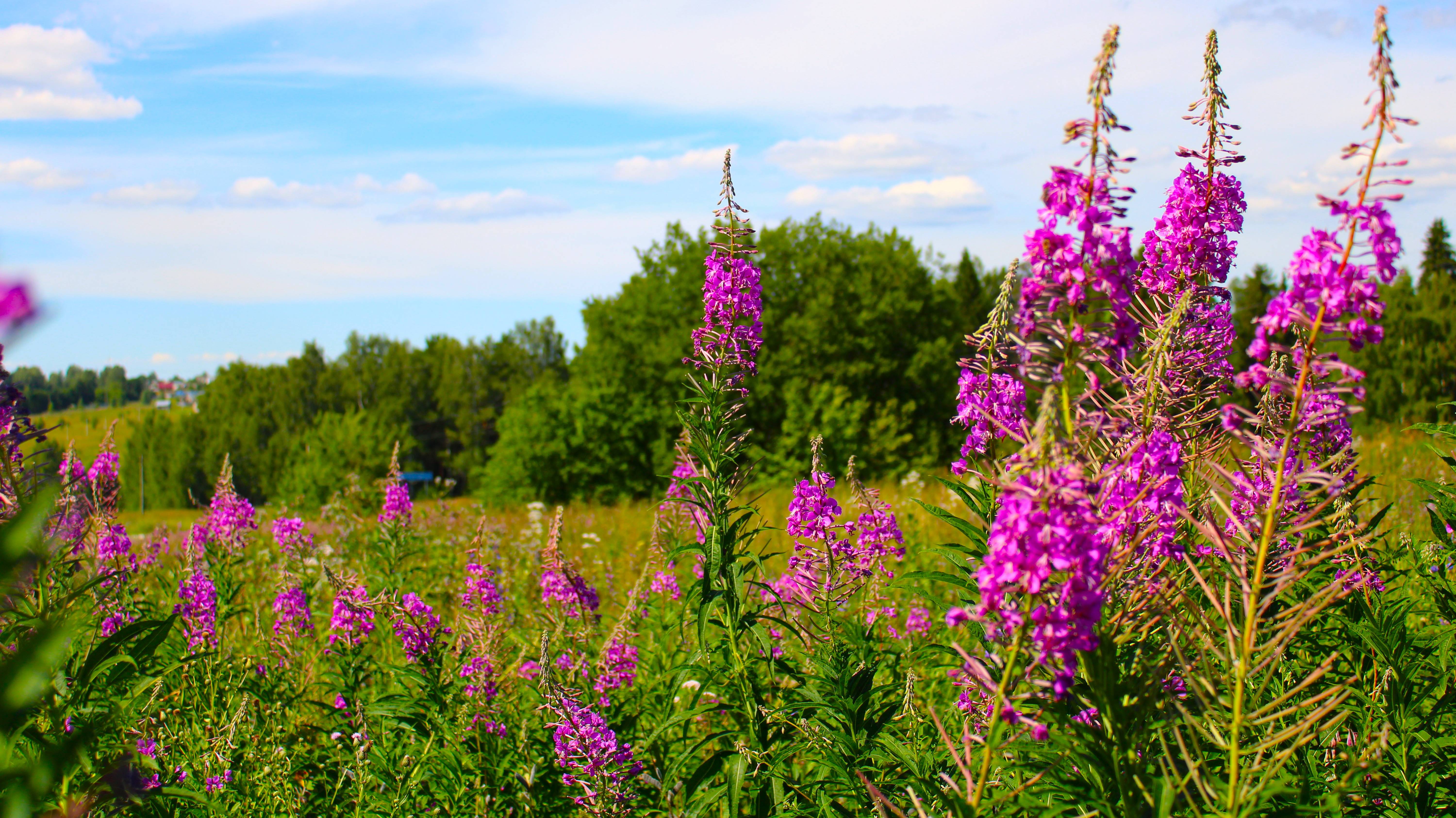 Не уходи, лето.