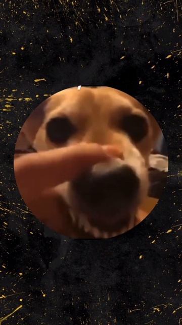 1000009378.mp4
